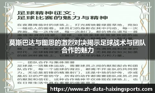 海星体育