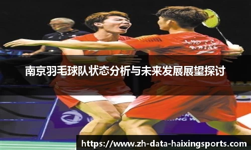 南京羽毛球队状态分析与未来发展展望探讨
