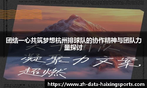 团结一心共筑梦想杭州排球队的协作精神与团队力量探讨